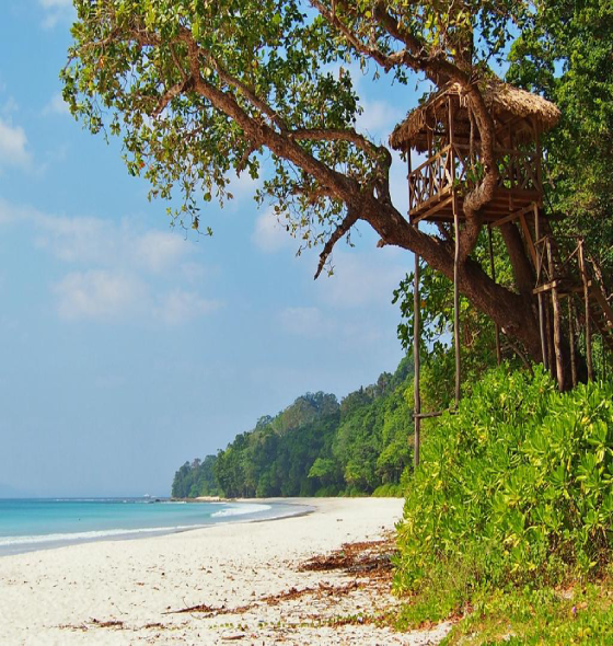 Radhanagar Beach